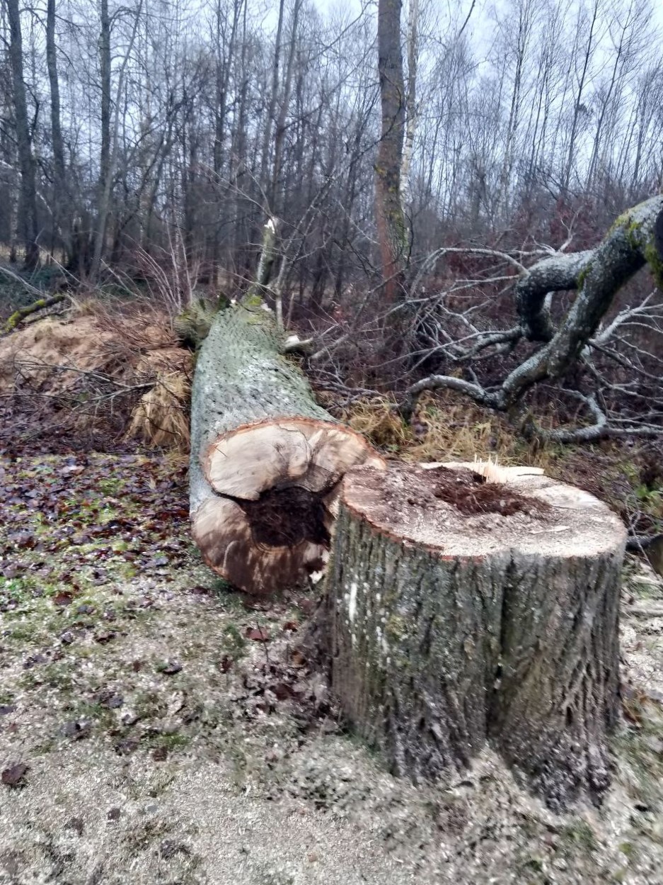 edcbab13 e927 4bae 8172 f5137681f3cc