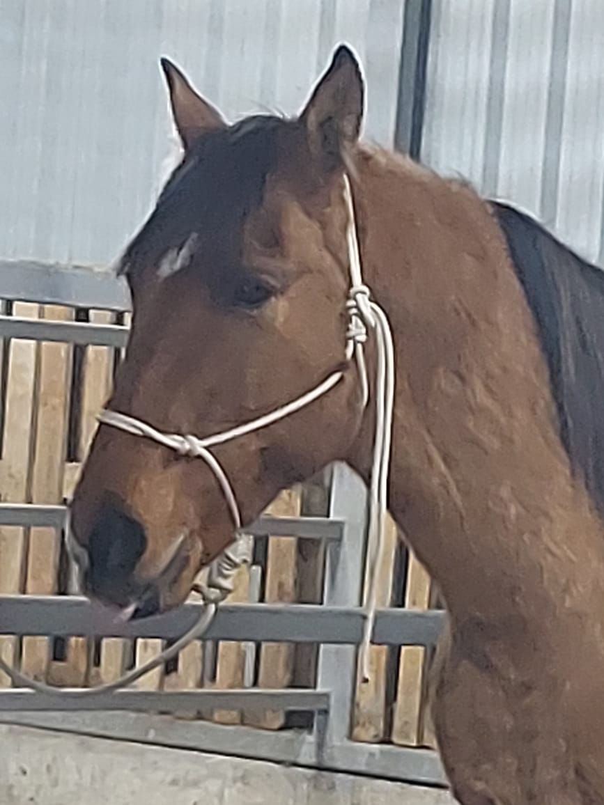 88d420f4 b85e 44e6 8c5f 071799e36e19