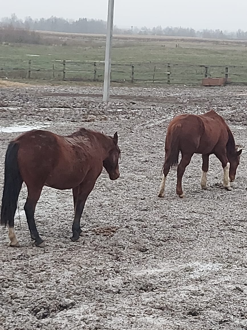 9b84e57e 35b8 4b6f 84cf 681327cdf299