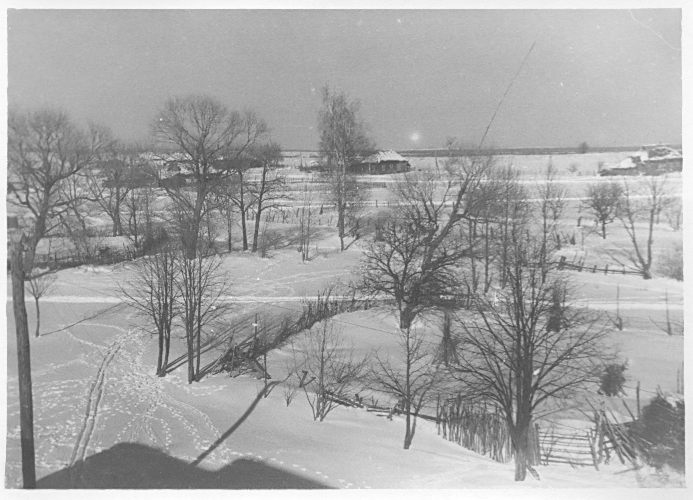 eliseevo1956h